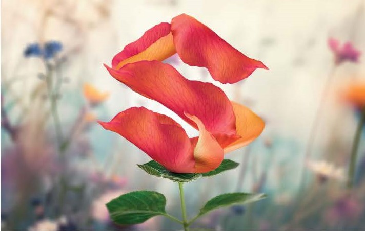 Fruehlingscheck_2025