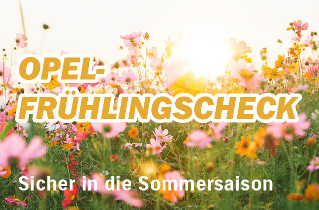 Opel Frühlingscheck